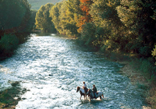Italy-Tuscany-Western Riding in Tuscany